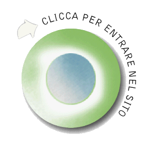 Entra nel sito